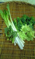 【地野菜料理いろいろ】川口市朝採り無農薬野菜を使用