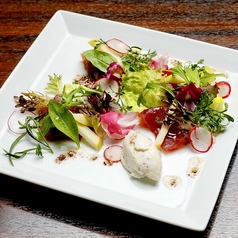 マグロのスモークと青リンゴ、リコッタチーズムースのサラダし立て～花椒の香り～