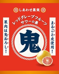 鬼おろしサワー 各種