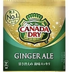 カナダドライジャンジャーエール ginger ale