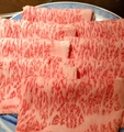 料理メニュー写真&nbsp;単品　ロース肉　《お肉・お野菜盛り　のみ》