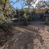 ちー坊と夏の雰囲気3