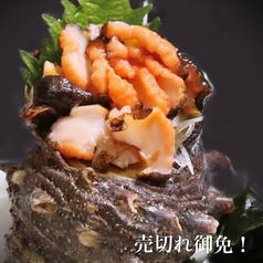壱岐市産　超BIGsize サザエ刺身
