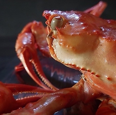 Bar Francais 和のおすすめランチ1