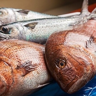漁港直送！旬の鮮魚と肉厚な土佐名物うつぼ料理を堪能