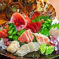 郷土ダイニング 鮪山 しびやまのコース写真