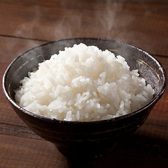 ごはん大盛り無料！