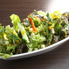 もっぱらサラダ