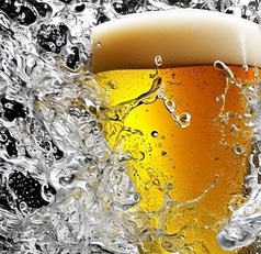 魚三昧ことぶきや 稲田堤店のコース写真