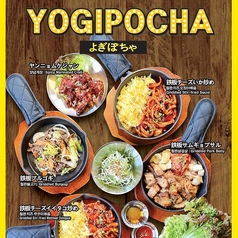 韓国料理　居酒屋　YOGIPOCHA　ヨギポチャのメイン写真