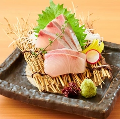 鳥取県産ブリ刺し