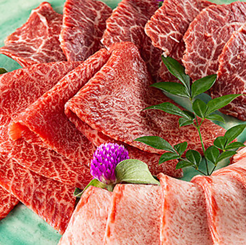 焼肉五鉄八丁堀本店。厳選和牛を上質空間で堪能。A5ランクカルビ、和牛タンやヒレも。
