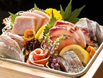 .博多でお得に魚を食べるなら『海風土』で！！