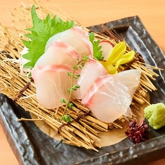 活鯛刺し