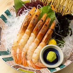 刺身単品