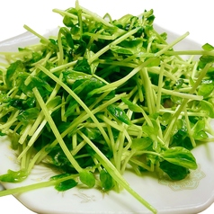 豆苗炒め