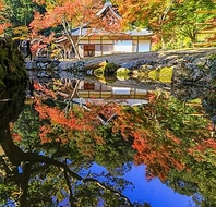 ◆奈良料理、奈良の米、奈良の酒◆