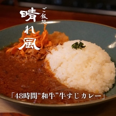 48時間和牛の牛すじカレー