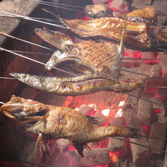 居酒屋 花組の外観2