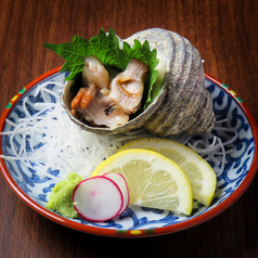 【推】サザエの刺身