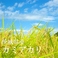 20．茨城県久慈郡産 JAS有機栽培米「カミアカリ」【生産者：大久保農園】