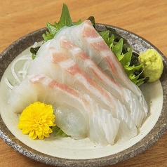 天然鯛