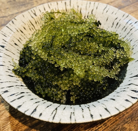 �ۂ݋򂢏� ���Љ�