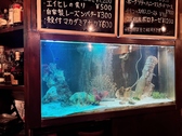 幻想的な青い光に癒やされながら美味しいお酒をどうぞ♪