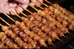 【おすすめセット】博多のぐる皮5本(タレ・塩)