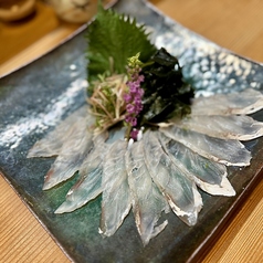宮崎獲れヒラメのお造り