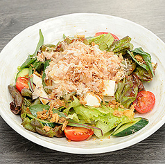 土佐昔豆腐サラダ