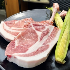 馬刺しと焼き鳥 グルマンのコース写真