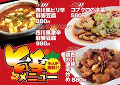 四川風ピリ辛麻婆豆腐