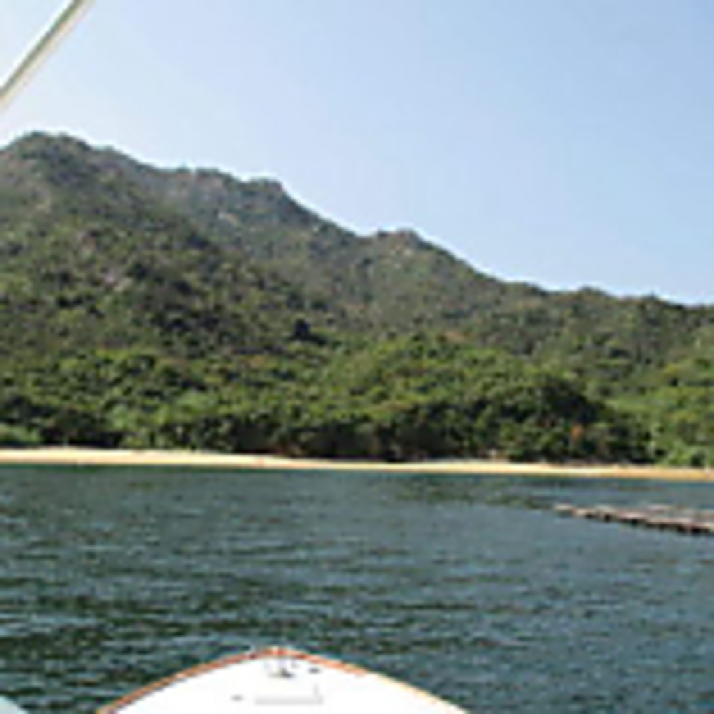 当店でしか味わえない？！広島の無人島で取れる“大黒神島牡蠣”