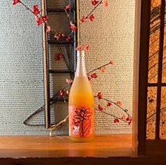 完熟マンゴー フルフル