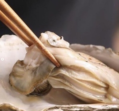 牡蠣と寿司 うみのおきての特集写真