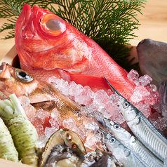 毎日仕入れる旬魚を味わう鮮度自慢の鮮魚料理