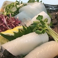 料理メニュー写真 イカの刺身