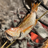 個室居酒屋 宴楽の写真