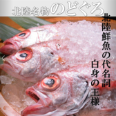 北陸の海の幸を満喫！漁港から直送される新鮮なお魚を使用した豪華なお造りは絶品です。その日の仕入れ状況によって、その時期に一番良いものをご提供いたします。