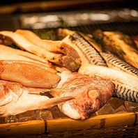 【新鮮魚介類】