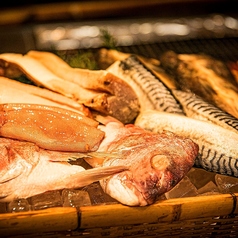 【新鮮魚介類】