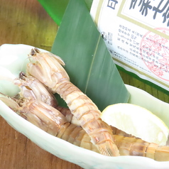 シャコ