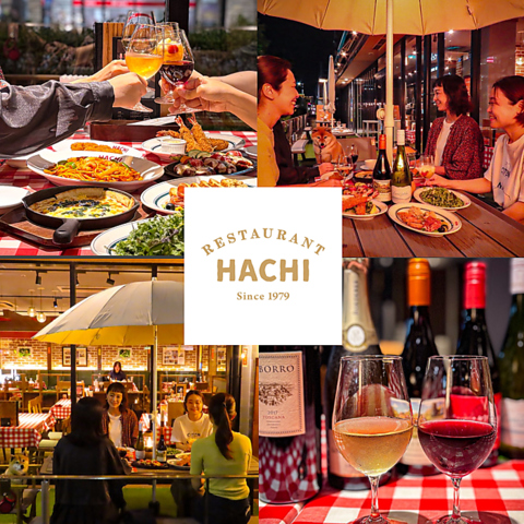 洋食とワインを開放的な空間で楽しめる『HACHI長町店』へ是非ご来店ください！