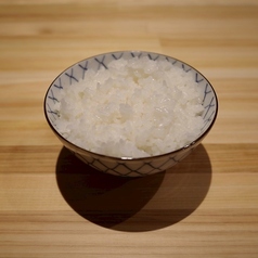 白ごはん