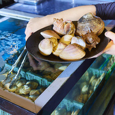 《鮮度に自信アリ!海鮮料理》活魚水槽から水揚げした鮮度のいい「活貝炭火焼き」「活物」「お造り」がお愉しみ頂けます!海鮮によく合う日本酒・焼酎・地酒はもちろん、記念日や接待に最適なスパークリングワインもございます。どんなシーンでもお気軽に♪