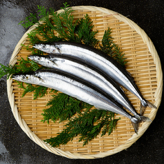 秋刀魚（北海道・根室、北海道・厚岸、宮城・気仙沼、岩手・大船渡、千葉・銚子）