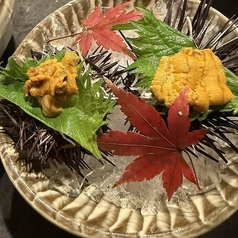殻付きうに