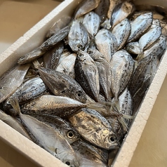 【ビールのお供】エバの唐揚げ