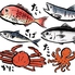 寿司割烹 魚喜 うおきロゴ画像
